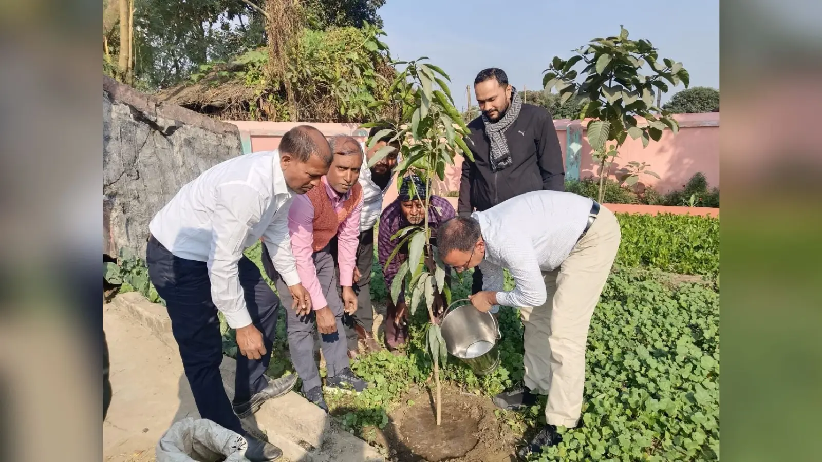 जिला शिक्षा पदाधिकारी ने किया पौधरोपण