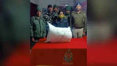 12 किलो गांजा के साथ तस्कर गिरफ्तार