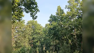 नये साल के स्वागत के लिए तैयार है सहरजोरी का पिकनिक स्पॉट