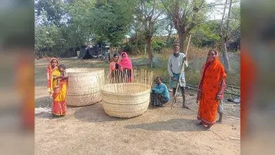 East Singhbhum : मुसाबनी में सड़क किनारे बांस की डोल बना मौसमी रोजगार कर रहा मादुली परिवार