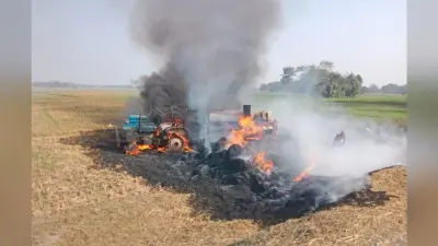 थ्रेसर, ट्रैक्टर व धान फसल जलकर नष्ट
