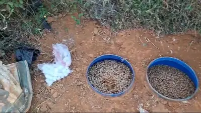 जमीन के नीचे गाड़ कर रखा था महुआ, पुलिस ने किया नष्ट