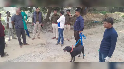 Darbhanga News: हथियारबंद अपराधियों ने हाइ कोर्ट के वकील व उसके भाई के घर की लूटपाट