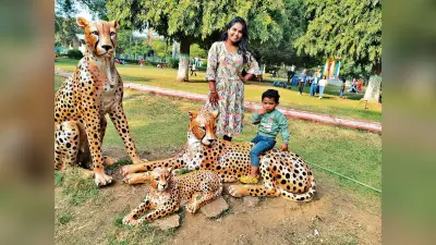 Rourkela News: सैलानियों को खूब भा रहा आइजी पार्क का नव कलेवर, जुबिली पार्क, इस्पात नेहरू पार्क और बसंती सरोवर भी गुलजार