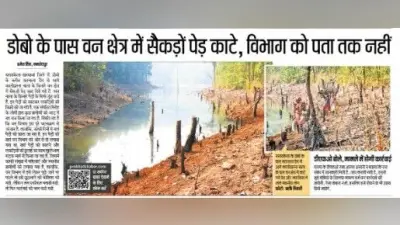Jamshedpur News : खबर का असर : डोबो के पास काटे गये पेड़ों के मामले में कार्रवाई का आदेश