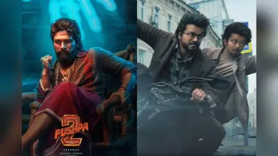 Look Back 2024: पुष्पा 2 से लेकर भूल भुलैया 3 तक, इन फिल्मों ने की बॉक्स ऑफिस पर धुआंधार कमाई