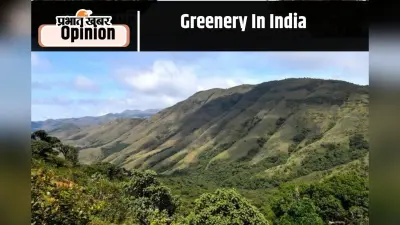 Greenery In India : हरियाली का बढ़ता दायरा