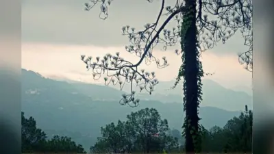 New Year 2025: नए साल का जश्न मनाए हिमाचल-उत्तराखंड की इन वादियों पर