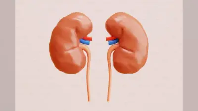 Hydronephrosis: मां के गर्भ में ही शिशु की किडनियां हो रही हैं खराब, जानें क्या उपाय बताते हैं डॉक्टर