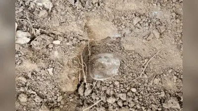 नक्सलियों की बड़ी साजिश नाकाम, औरंगाबाद के जंगल से 3 किलो IED बरामद