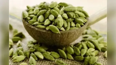 Diabetes: इलायची से ब्लड शुगर रहेगा कंट्रोल, जानें इसके बेहतरीन फायदे
