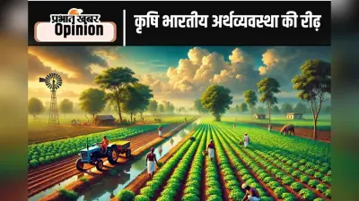 खेती मजबूत, तो अर्थव्यवस्था सुदृढ़, पढ़ें, पद्मश्री अशोक भगत का आलेख