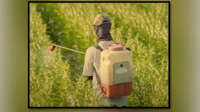 Agriculture: किसानों को कीटनाशकों के खतरे से बचाने के लिए बना कीटनाशक रोधी बॉडी सूट