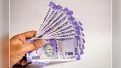 Vastu Tips: अपने पर्स में रखें ये 5 चीजें, होने लगेगी पैसों की बारिश