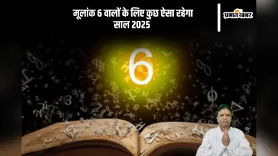 Mulank 6, 2025 Prediction In Hindi: मूलांक 06 वालों के लिए नया साल रहेगा कुछ ऐसा, करियर में अचानक से बदलाव होगा