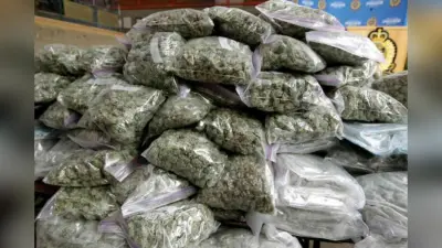 Muzaffarpur News: जिला पुलिस को मिली बड़ी सफलता, 350 किलो गांजा के साथ दो तस्कर गिरफ्तार