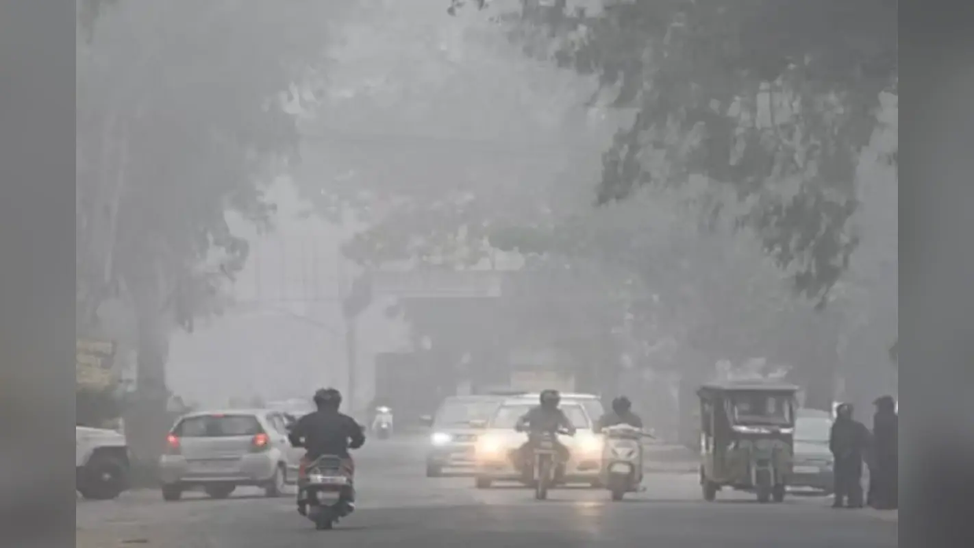 Muzaffarpur Weather: कोहरे ने बढ़ाई सिहरन, दिन में धूप से राहत, जानिए अगले 5 दिन तक कैसा रहेगा मौसम?