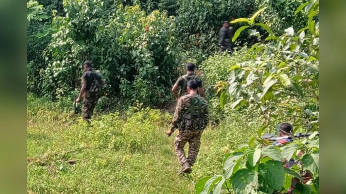 Saranda Encounter: झारखंड के सारंडा जंगल में सुरक्षाबलों की नक्सलियों से मुठभेड़, कोबरा जवान घायल, विस्फोटक बरामद