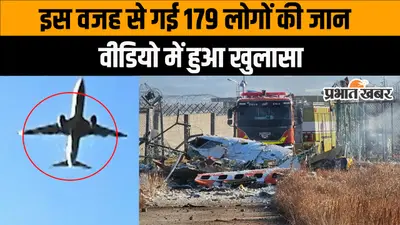 Plane Crash: सामने आया विमान हादसे से पहले का वीडियो, 179 यात्रियों की मौत, देखें Video