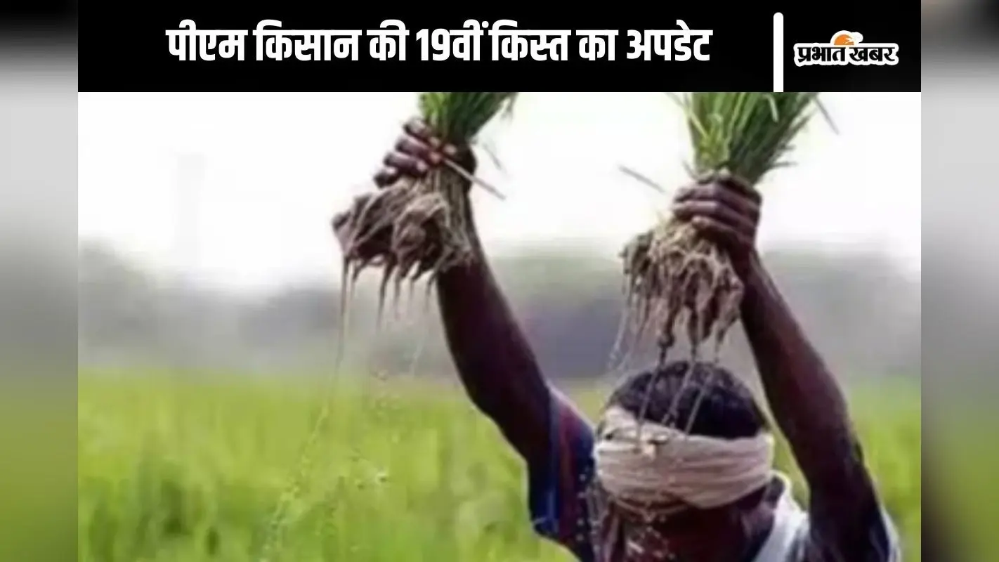किसान सम्मान निधि योजना की 19वीं किस्त को लेकर आया अपडेट, जानें किन किसानों के खाते में नहीं आएंगे पैसे