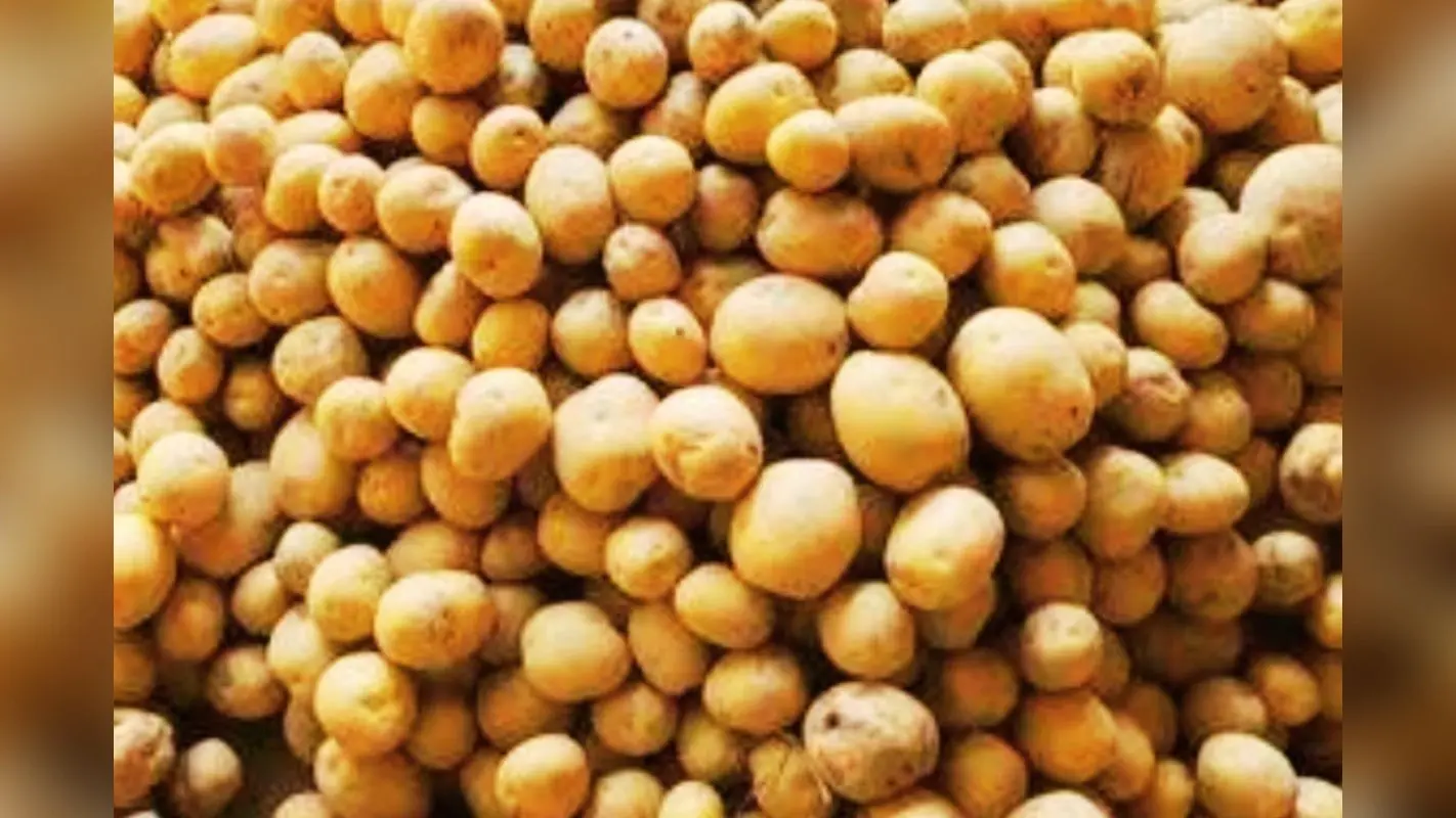 Potato Price: झारखंड की थाली से ममता ने छीनी आलू, योगी ने परोसा