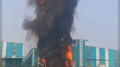 Bihar News: पूर्णिया में बैटरी फैक्ट्री में लगी भीषण आग, दमकल की चार गाड़ियों ने आग पर पाया काबू