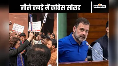 Video : नीला टीशर्ट पहनकर संसद पहुंचे राहुल गांधी, प्रियंका गांधी दिखीं नीली साड़ी में