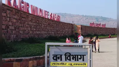 नए साल पर राजगीर का जू सफारी और नेचर सफारी रहेगा बंद, जानिए क्या-क्या रहेगा खुला