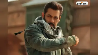 Salman Khan Birthday: 2900 करोड़ की संपत्ति से लेकर लग्जरियस गाड़ियों तक, सलमान खान की नेट वर्थ जान दंग रह जाएंगे