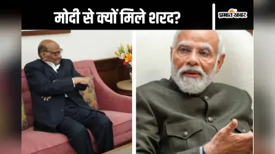 Sharad Pawar Video : अनार लेकर पीएम नरेंद्र मोदी के पास पहुंचे शरद पवार