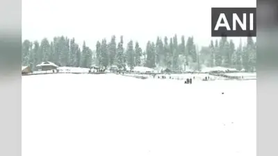 कश्मीर में हुई इस सीजन की पहली बर्फबारी, मैदानी इलाकों में बढ़ सकती है ठंड, देखें वीडियो