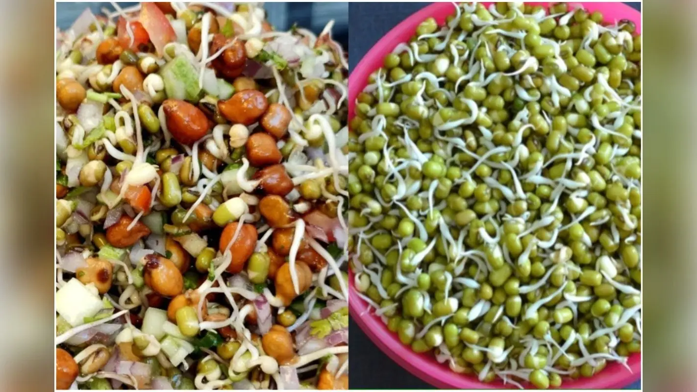 नाश्ते या टिफिन के लिए अंकुरित मूंग से बनाएं ये पौष्टिक और स्वादिष्ट व्यंजन