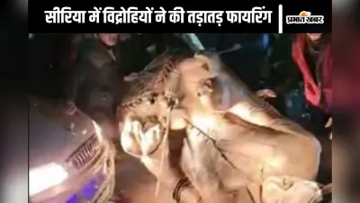 Syria Video : अल्लाह-हू-अकबर का नारा, तड़ातड़ फायरिंग, सीरिया में विद्रोहियों के तांडव का वीडियो