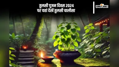 Tulsi Pujan Diwas 2024 Chalisa: आज तुलसी पूजन दिवस पर चालीसा का करें पाठ