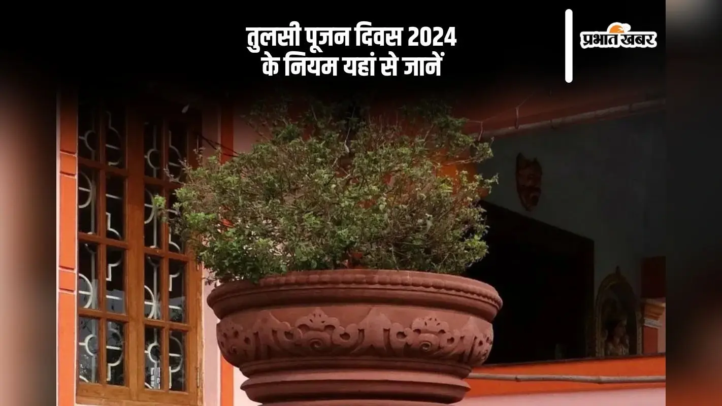 Tulsi Pujan Divas 2024: तुलसी पूजन दिवस मनाने से पहले यहां से जानें नियम
