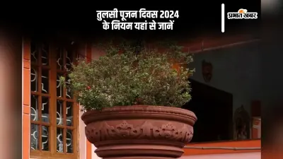 Tulsi Pujan Divas 2024: तुलसी पूजन दिवस मनाने से पहले यहां से जानें नियम