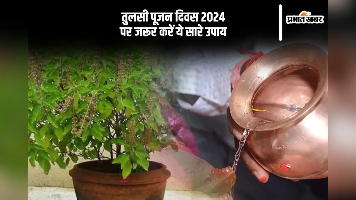 Tulsi Pujan Diwas 2024 Upay: तुलसी पूजन दिवस के दिन जरूर कर लें ये उपाय