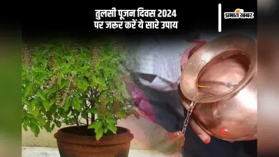 Tulsi Pujan Diwas 2024 Upay: तुलसी पूजन दिवस के दिन जरूर कर लें ये उपाय