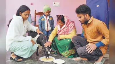 Bihar: पुत्र की याद में माता-पिता ने बकरी का मनाया जन्मदिन, कोविड में हो गया था निधन