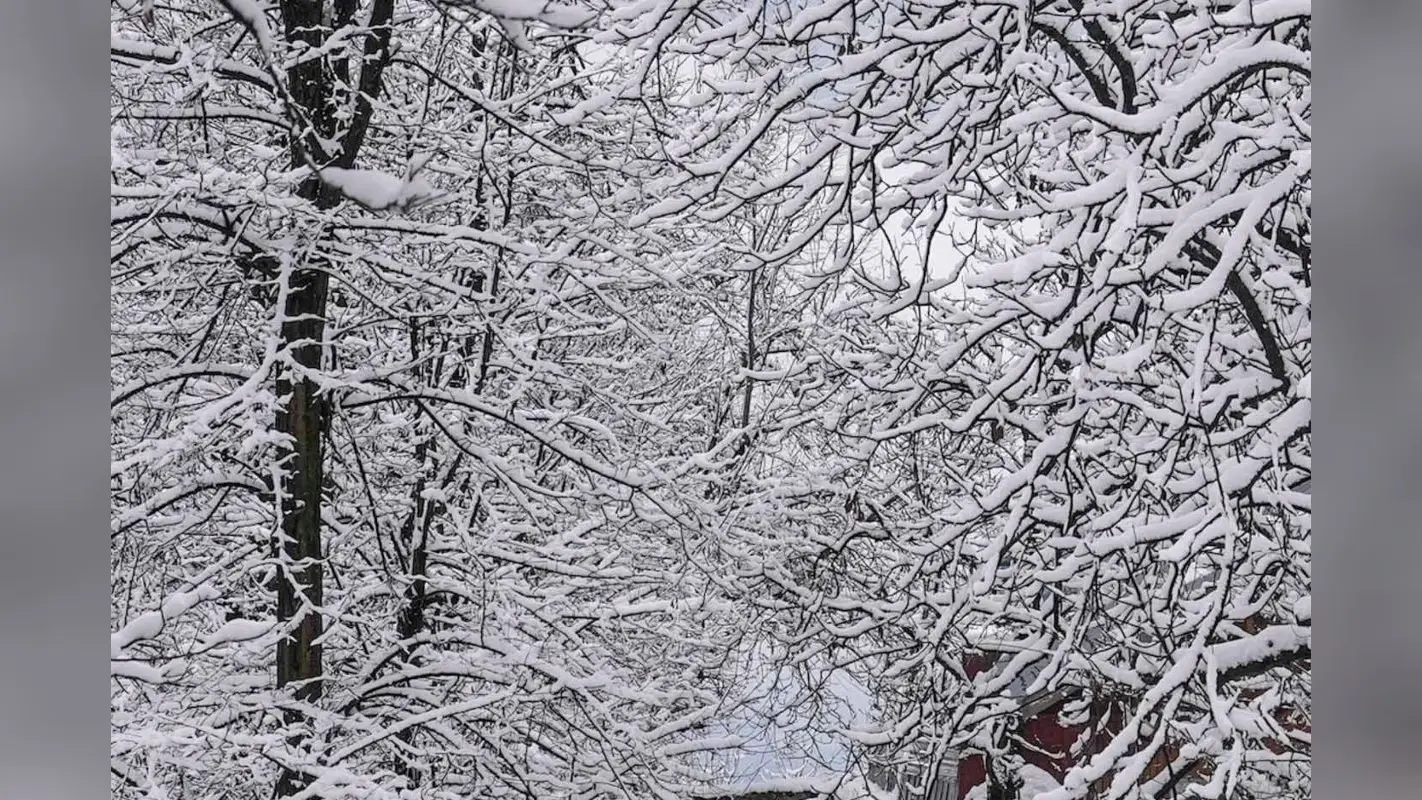 Cold Wave: झारखंड, बंगाल में झमाझम बारिश, जम्मू-कश्मीर में पारा शून्य से नीचे, शीतलहर का प्रकोप जारी