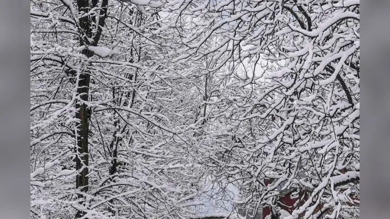 Cold Wave Warning: 23 दिसंबर तक भीषण शीत लहर की चेतावनी, IMD ने जारी किया रेट अलर्ट