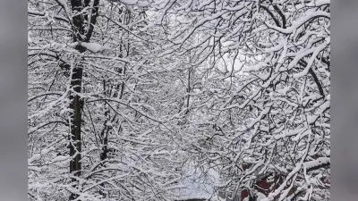 Rajasthan Weather: बफीर्ली हवाओं से हाड़ कंपाने वाली ठंड, घने कोहरे ने मचाया कोहराम, जानें मौसम का हाल