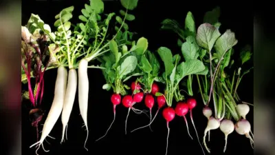 Winter Superfoods: ठंड में ब्लोअर और हीटर की नहीं पड़ेगी जरूरत, बस डाइट में शामिल करें ये सब्जियां