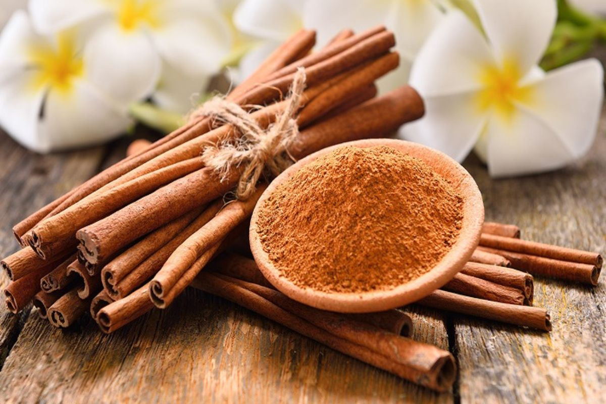Cinnamon Benefits for Women: महिलाओं के लिए वरदान है दालचीनी का सेवन, मिलेंगे ये 5 फायदे