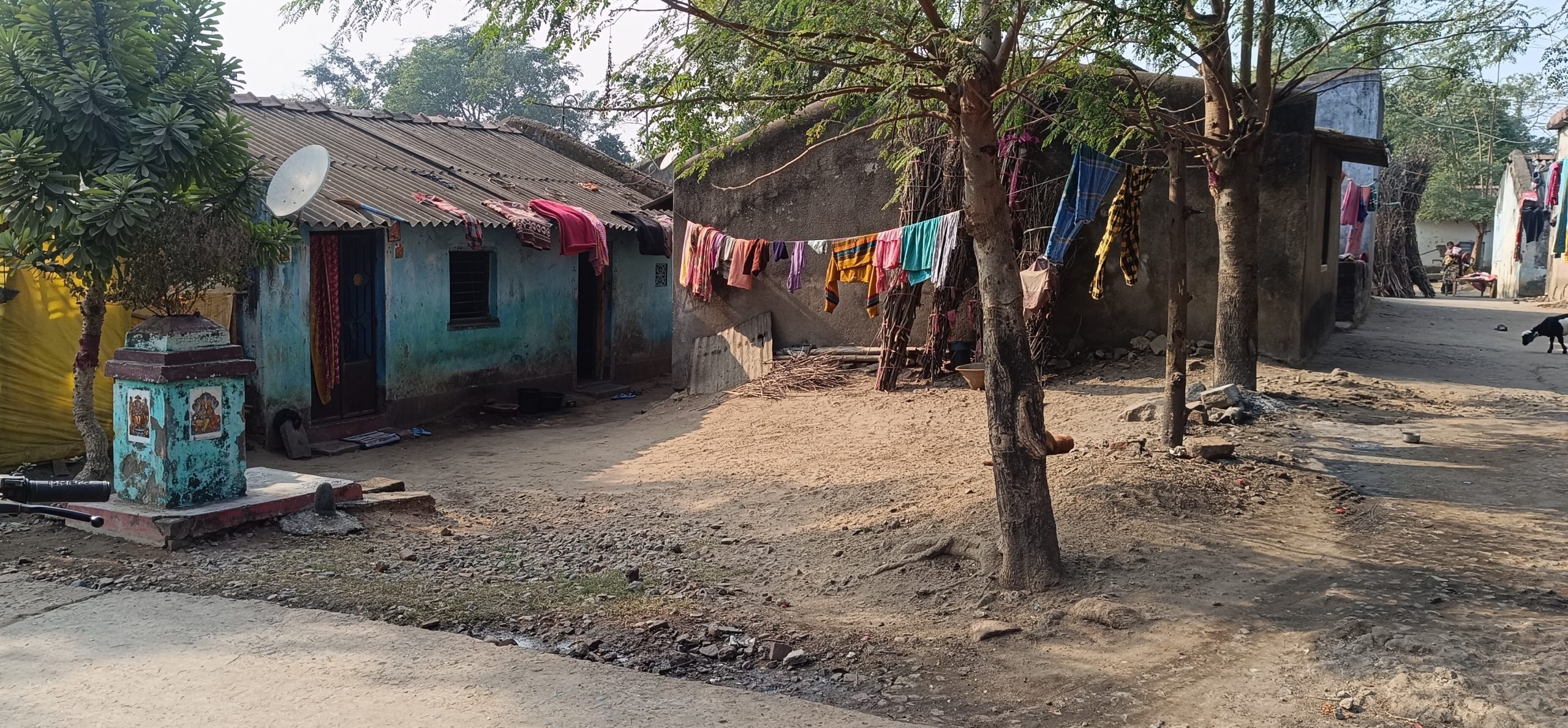 East Singhbhum News : घाटशिला के चालकडीह में 42 साल पहले बने इंदिरा आवास जर्जर, प्लास्टिक टांगकर रहते हैं 500 परिवार