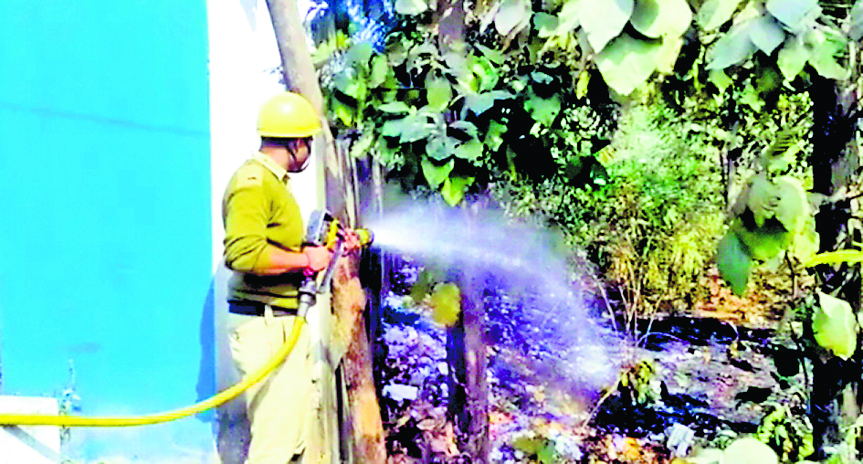 दुर्गापुर : एसडीओ ऑफिस के बगल के जंगल में लगी आग