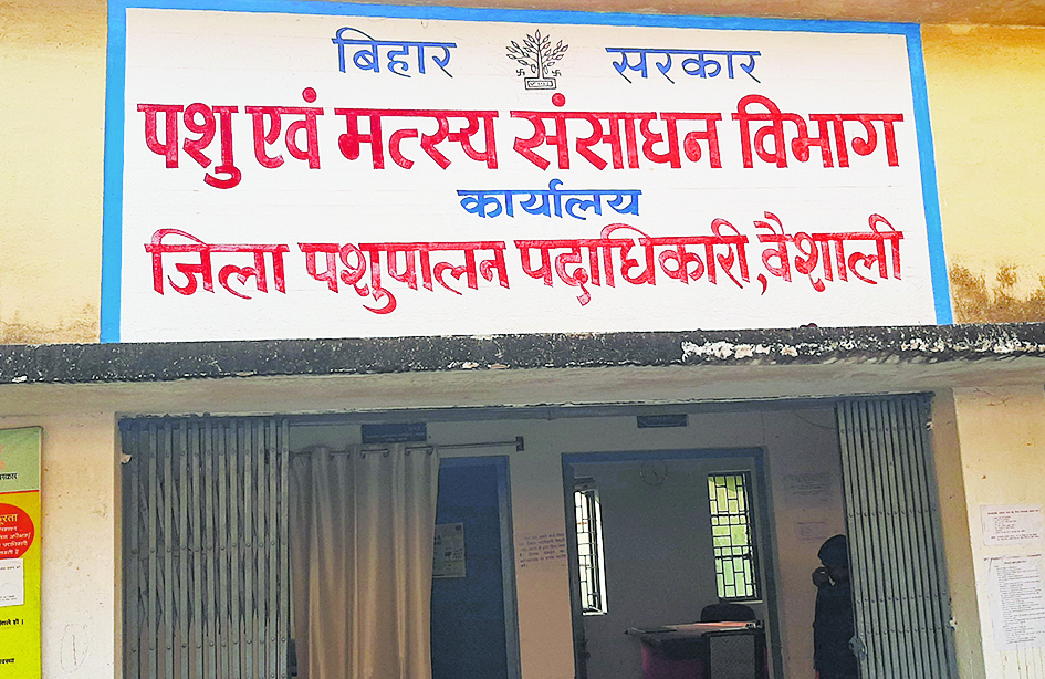 hajipur news. 87 लाभुकों को मिलेगा शूकर पालन योजना का लाभ