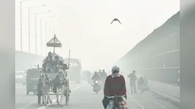 उत्तर भारत में कड़ाके की ठंड और कोहरे का कहर, नॉर्थ ईस्ट में भारी बारिश और ओलावृष्टि का अलर्ट