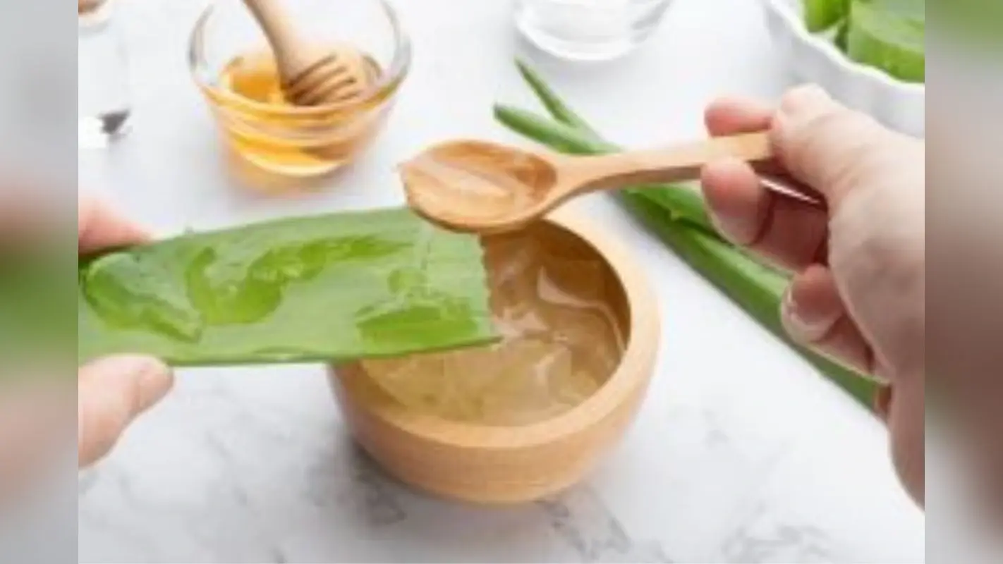 Hair Care Tips: सर्दियों में बालों की समस्या को दूर करेगा एलोवेरा, जानें मिलने वाले फायदों के बारे में
