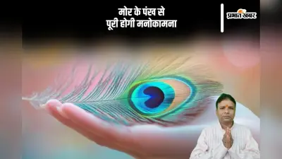 Vastu Tips: मोर पंख से पूरी होती है हर मनोकामना, जानें कैसे